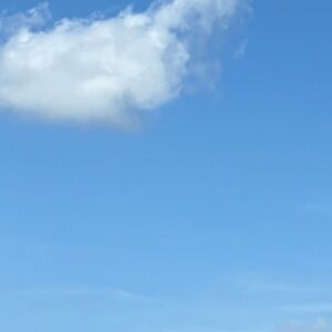 Meet your Posher, Madeline